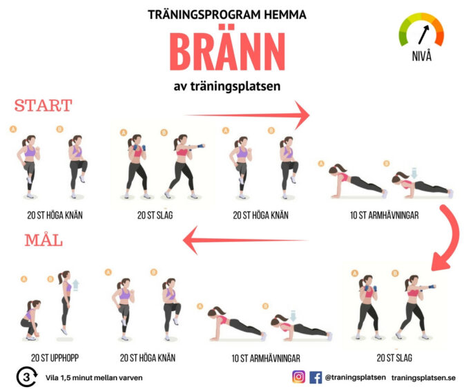 Träningsprogram hemma - hemmaträning med illustrationer