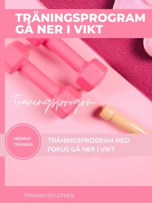 Träningsprogram gå ner i vikt - enkelt och effektiv träningsrutin med övningar såsom plankan och burpees