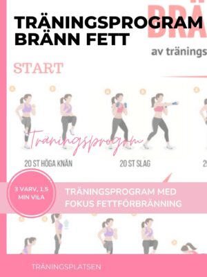 Träningsprogram bränn fett - effektivt program för att gå ner i vikt