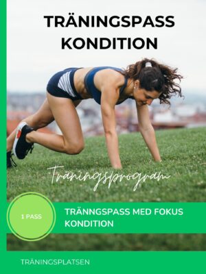 Träningsprogram kondition