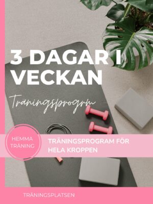 Träningsprogram 3 dagar i veckan